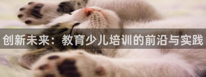 鸿运北斗监控平台