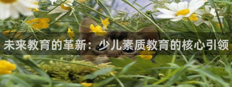 鸿运彩票平台违法吗