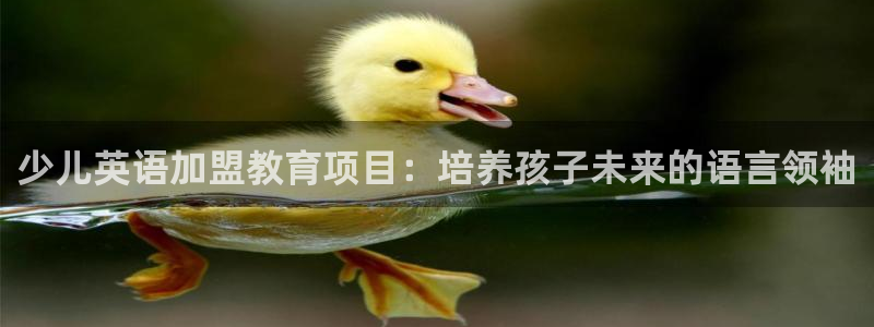 鸿运平台登录首页