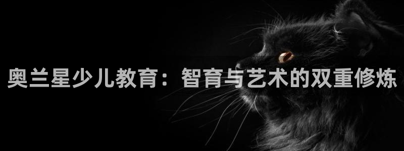 鸿运彩票平台怎样