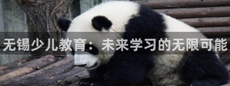 鸿运画室平台介绍