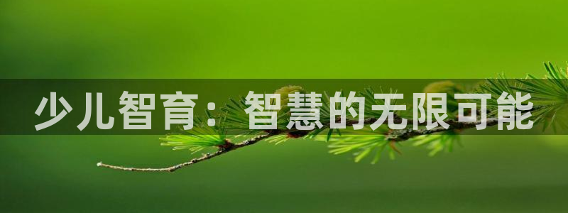 鸿运资本平台被骗