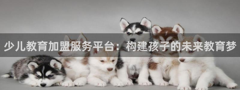 鸿运当头直播平台