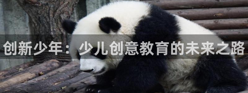 鸿运彩 票诈骗平台