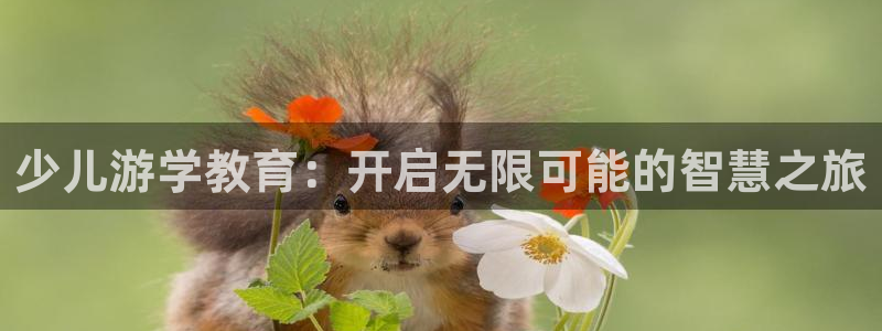 鸿运国际网址平台