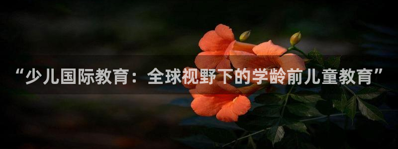 鸿运购平台怎么样