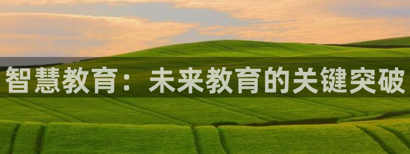 铜陵鸿运拍卖平台