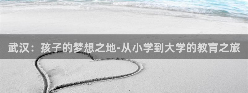 鸿运彩票专业购采平台