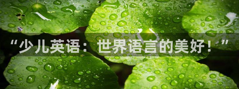 香港鸿运投资平台