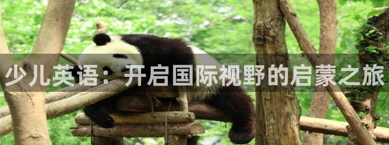 鸿运彩票网络平台官网