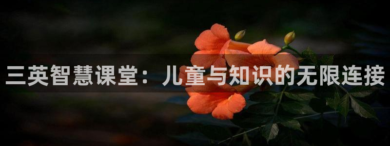 鸿运宝理财平台