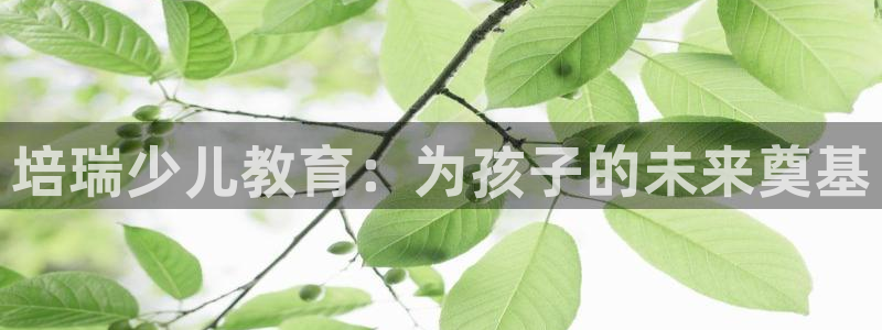 鸿运彩票平台登录不了