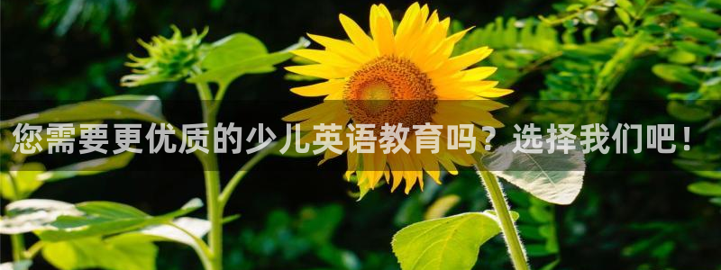 鸿运购平台