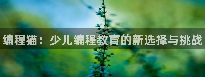 鸿运充值平台