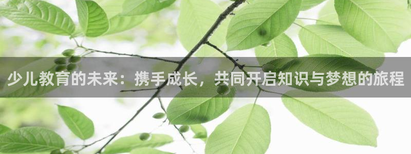 鸿运平台代理代