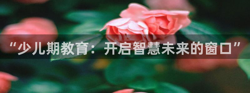 鸿运宝金融投资平台