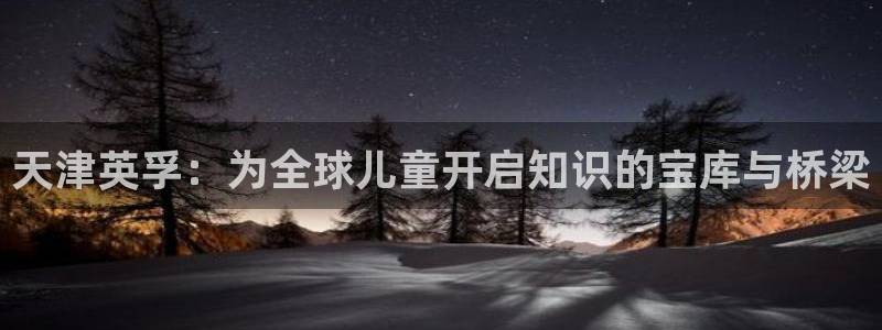 鸿运信息平台