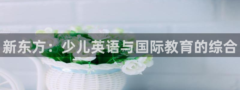 鸿运游戏平台投注