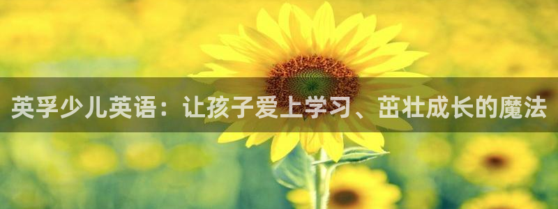 鸿运注册平台是什么