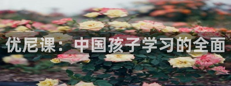 鸿运团队赚钱平台