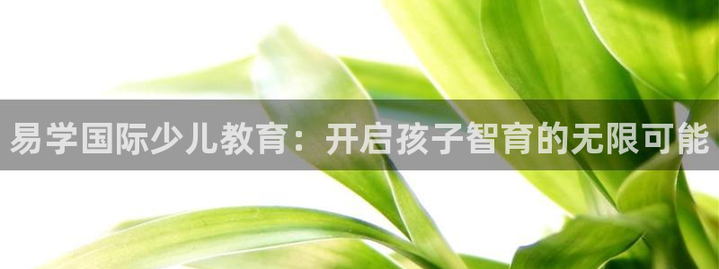 鸿运交易平台app