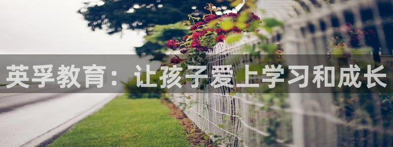 中国鸿运是什么平台