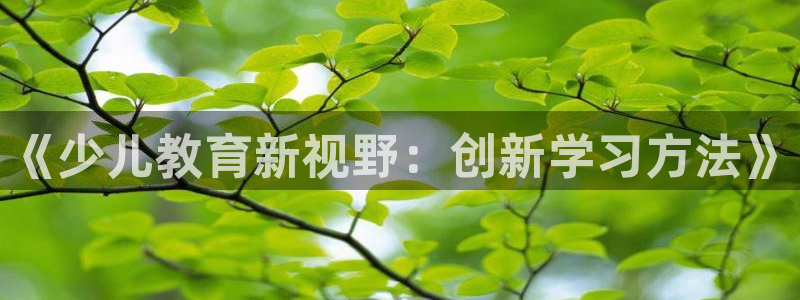 鸿运集团有几个平台